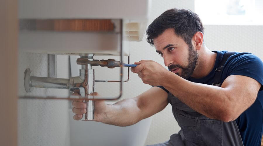 Trap Repair/Replacement in Trout Run, PA